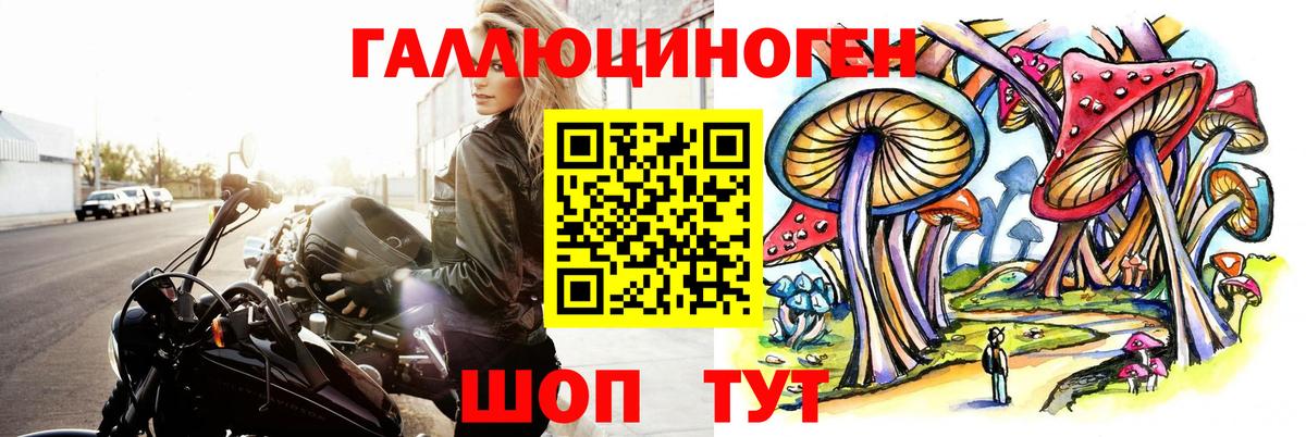 Усть-Кут  Галлюциногенные грибы мицелий  Вход с VPN 