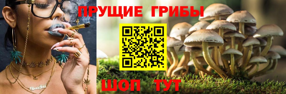 Галлюциногенные грибы мицелий Усть-Кут
